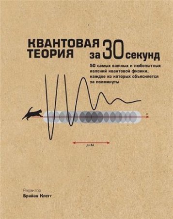Обложка к Квантовая теория за 30 секунд (2014) PDF