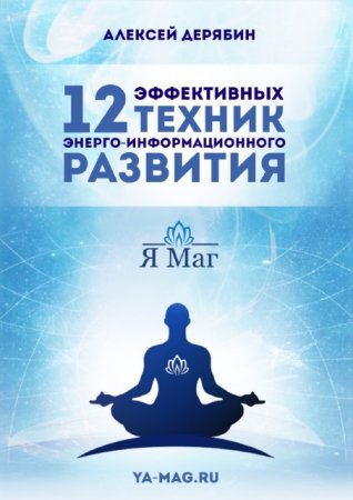 Обложка к Алексей Дерябин. 12 эффективных техник энерго-информационного развития (2014) PDF,RTF,FB2,EPUB,MOBI,DOCX