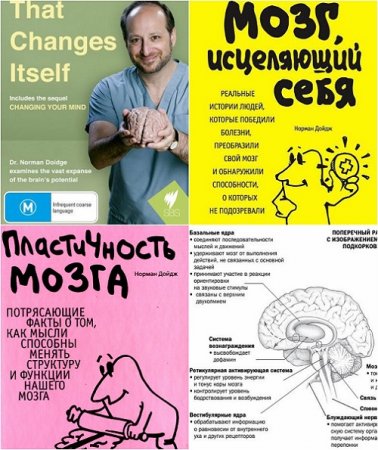 Обложка к Норман Дойдж. Пластичность мозга. Мозг, исцеляющий себя. Сборник