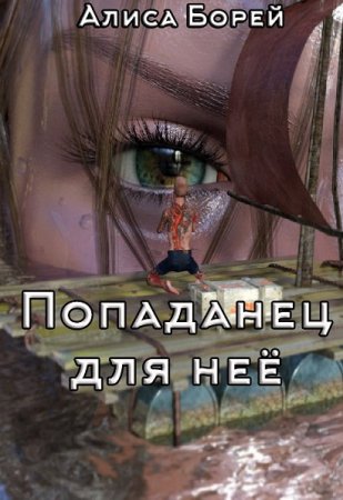 Обложка к Алиса Борей. Попаданец для нее (2018)