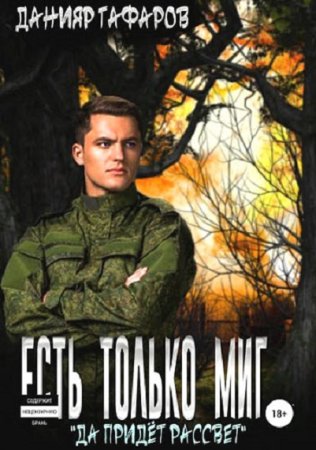 Обложка к Данияр Гафаров. Есть только миг… (2018)