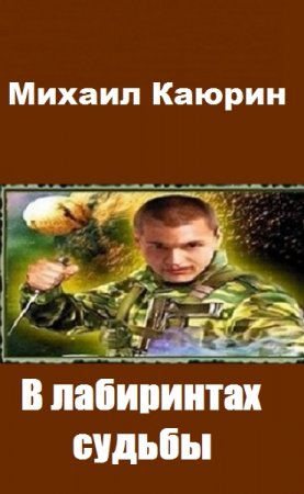 Обложка к Михаил Каюрин. В лабиринтах судьбы (2019)