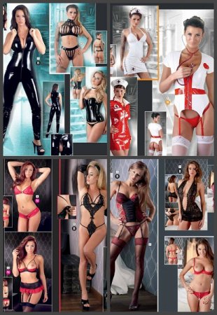 Обложка к Erotik Highlights (2015-2016)