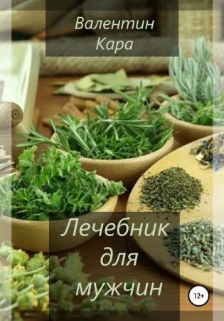 Обложка к Лечебник для мужчин