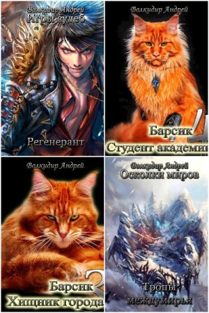 Обложка к Андрей Волкидир. Сборник книг