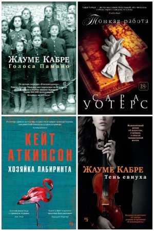 Обложка к Большой роман - Серия 217 книг